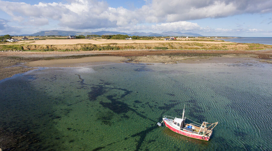 Templetown Beach, Co. Louth