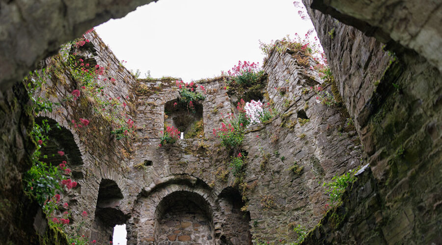Trim Castle, Co Meath