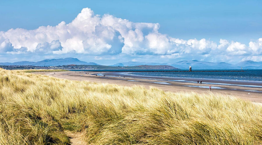 Annagassan Beach, Co. Louth
