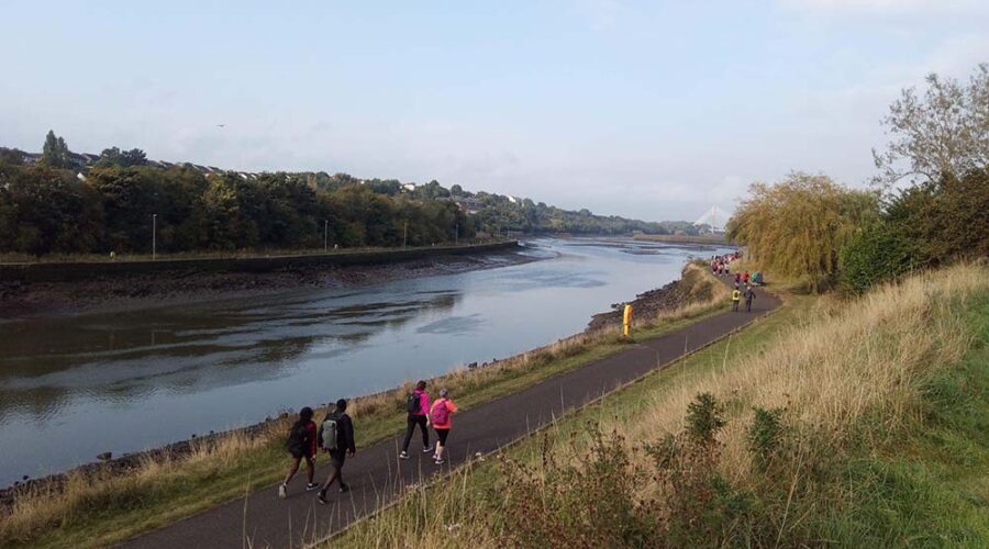 Boyne Valley Trails, Walking, Camino Boardwalk, Drogheda, Co Louth
