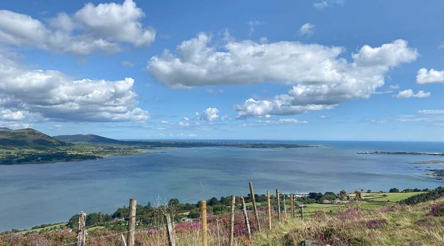 Slieve Foye, Carlingford, Co Louth
