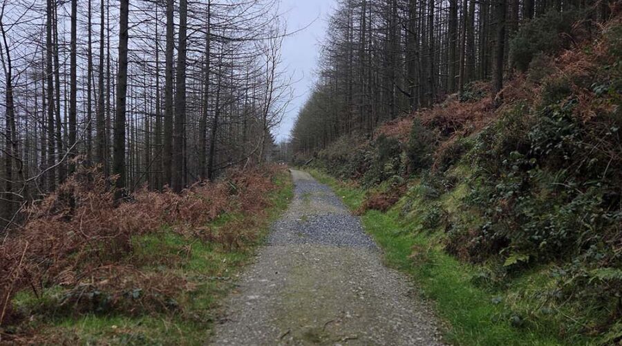 Slieve Foyle Loop, Trail, Carlingford, Co Louth