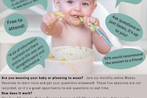 Baby Food Made Easy Poster