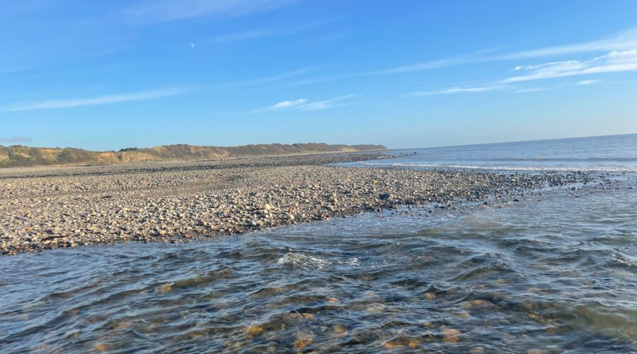 Water shimmering at the coast of Gyles Quay.